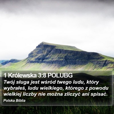 1 Królewska 3:8 POLUBG Bible Verse Image