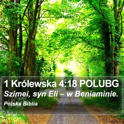 1 Królewska 4:18 POLUBG Bible Verse Image
