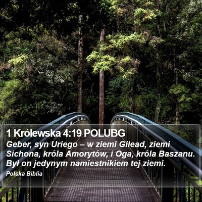 1 Królewska 4:19 POLUBG Bible Verse Image