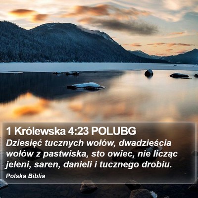 1 Królewska 4:23 POLUBG Bible Verse Image