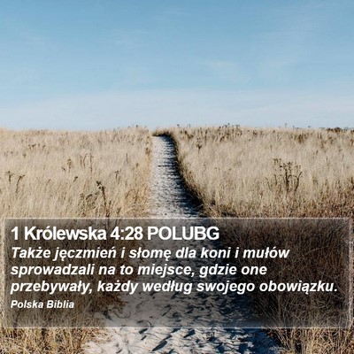 1 Królewska 4:28 POLUBG Bible Verse Image
