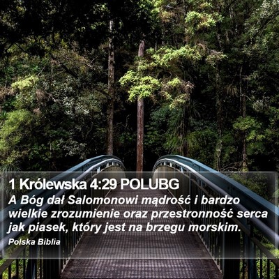 1 Królewska 4:29 POLUBG Bible Verse Image