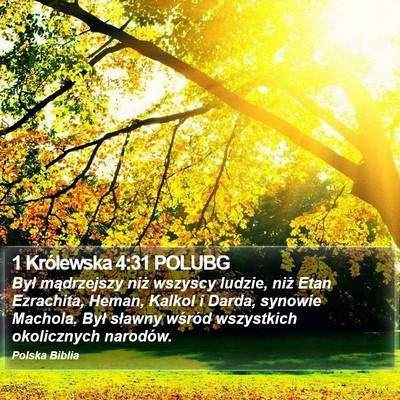 1 Królewska 4:31 POLUBG Bible Verse Image
