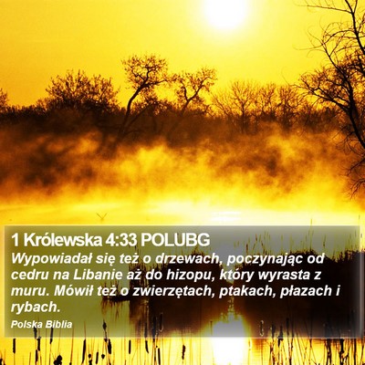 1 Królewska 4:33 POLUBG Bible Verse Image