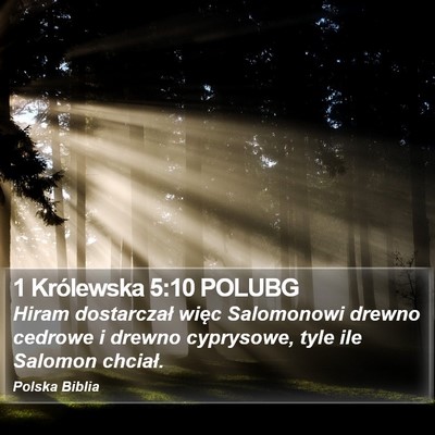 1 Królewska 5:10 POLUBG Bible Verse Image