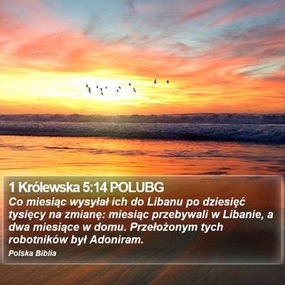 1 Królewska 5:14 POLUBG Bible Verse Image