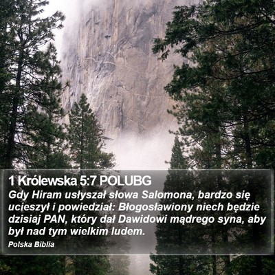 1 Królewska 5:7 POLUBG Bible Verse Image