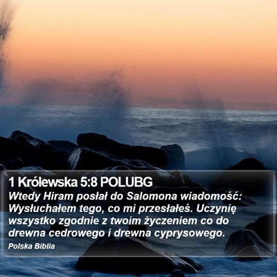 1 Królewska 5:8 POLUBG Bible Verse Image