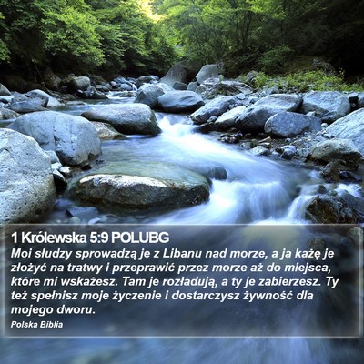 1 Królewska 5:9 POLUBG Bible Verse Image