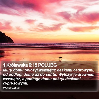1 Królewska 6:15 POLUBG Bible Verse Image