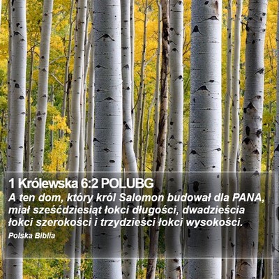 1 Królewska 6:2 POLUBG Bible Verse Image