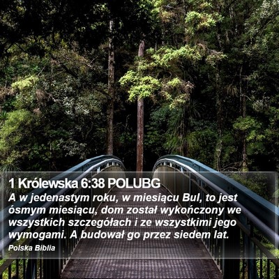 1 Królewska 6:38 POLUBG Bible Verse Image