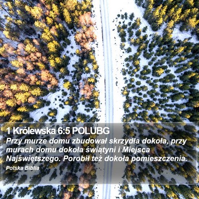 1 Królewska 6:5 POLUBG Bible Verse Image