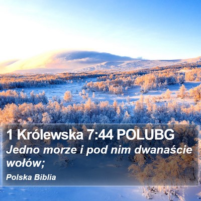 1 Królewska 7:44 POLUBG Bible Verse Image