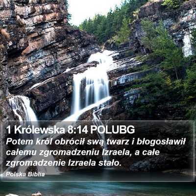 1 Królewska 8:14 POLUBG Bible Verse Image