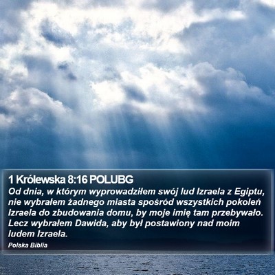 1 Królewska 8:16 POLUBG Bible Verse Image
