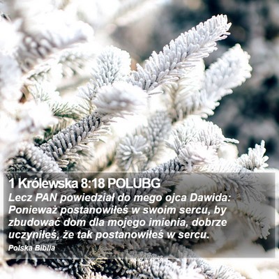 1 Królewska 8:18 POLUBG Bible Verse Image
