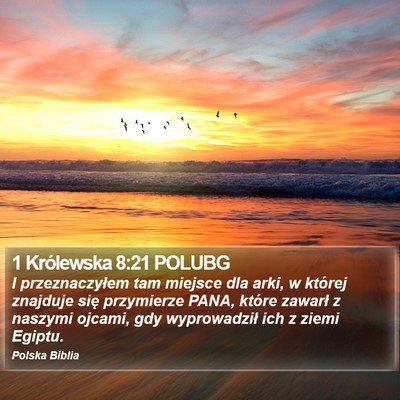 1 Królewska 8:21 POLUBG Bible Verse Image
