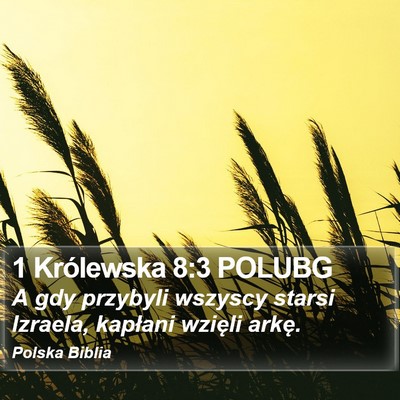 1 Królewska 8:3 POLUBG Bible Verse Image