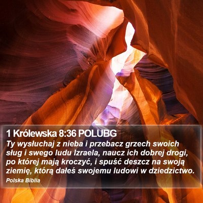 1 Królewska 8:36 POLUBG Bible Verse Image