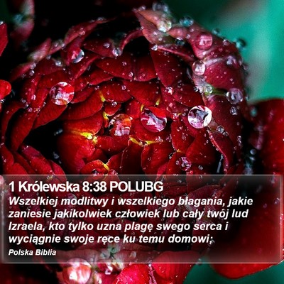 1 Królewska 8:38 POLUBG Bible Verse Image