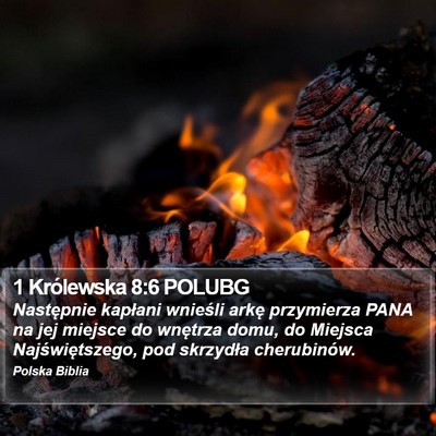 1 Królewska 8:6 POLUBG Bible Verse Image