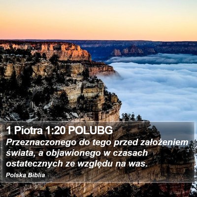 1 Piotra 1:20 POLUBG Bible Verse Image
