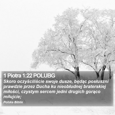 1 Piotra 1:22 POLUBG Bible Verse Image