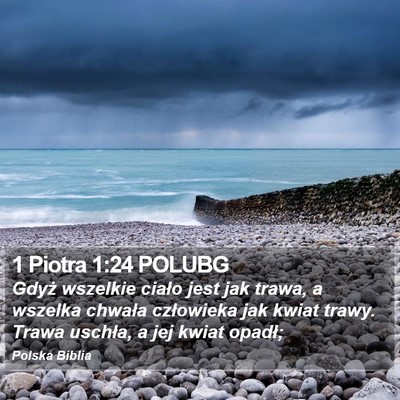1 Piotra 1:24 POLUBG Bible Verse Image
