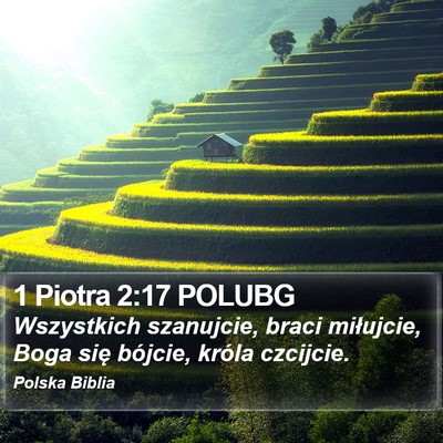 1 Piotra 2:17 POLUBG Bible Verse Image