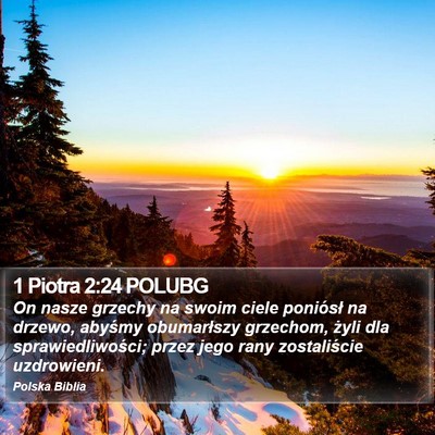 1 Piotra 2:24 POLUBG Bible Verse Image