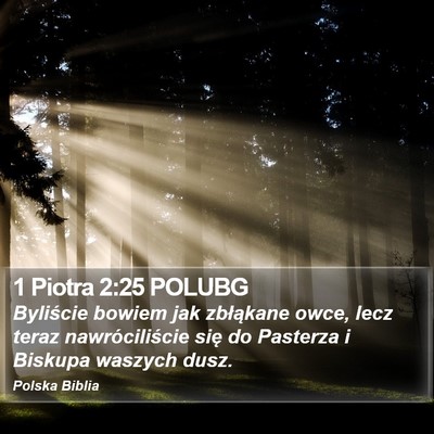 1 Piotra 2:25 POLUBG Bible Verse Image
