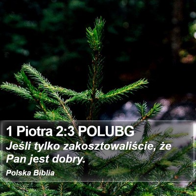 1 Piotra 2:3 POLUBG Bible Verse Image