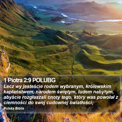 1 Piotra 2:9 POLUBG Bible Verse Image
