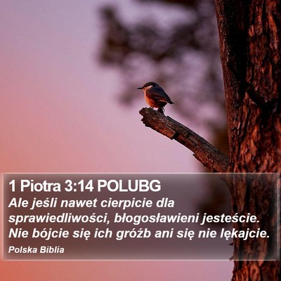 1 Piotra 3:14 POLUBG Bible Verse Image