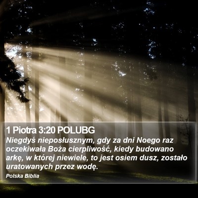 1 Piotra 3:20 POLUBG Bible Verse Image
