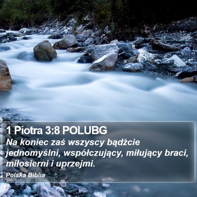 1 Piotra 3:8 POLUBG Bible Verse Image