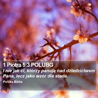 1 Piotra 5:3 POLUBG Bible Verse Image