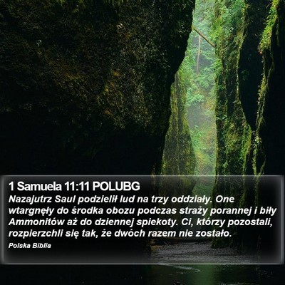 1 Samuela 11:11 POLUBG Bible Verse Image