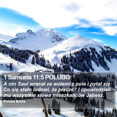 1 Samuela 11:5 POLUBG Bible Verse Image