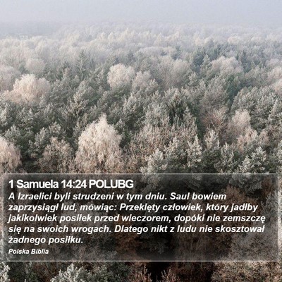 1 Samuela 14:24 POLUBG Bible Verse Image