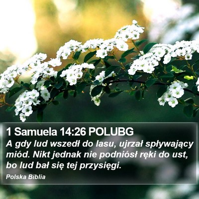 1 Samuela 14:26 POLUBG Bible Verse Image