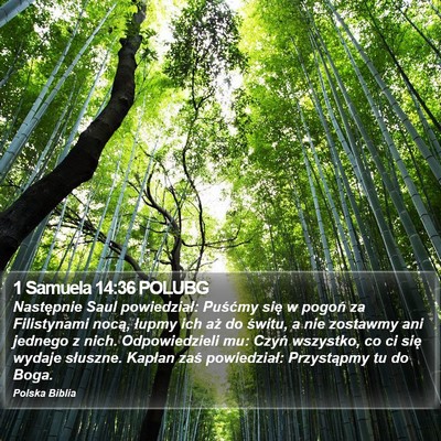 1 Samuela 14:36 POLUBG Bible Verse Image