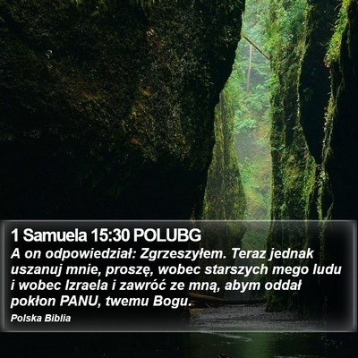 1 Samuela 15:30 POLUBG Bible Verse Image