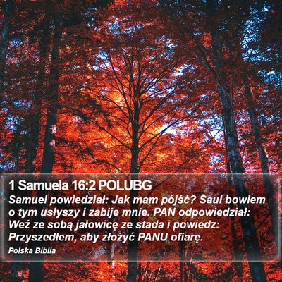 1 Samuela 16:2 POLUBG Bible Verse Image