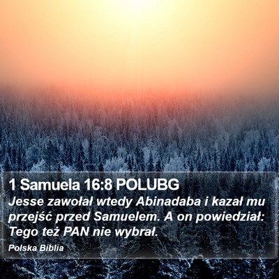 1 Samuela 16:8 POLUBG Bible Verse Image