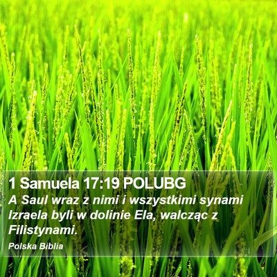 1 Samuela 17:19 POLUBG Bible Verse Image