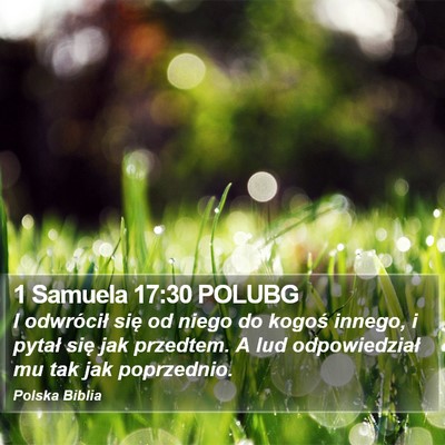 1 Samuela 17:30 POLUBG Bible Verse Image