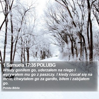 1 Samuela 17:35 POLUBG Bible Verse Image