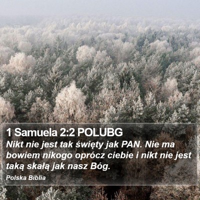 1 Samuela 2:2 POLUBG Bible Verse Image